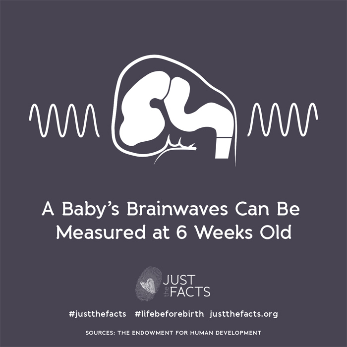 A babys' brainwaves can be measured at 6 weeks old