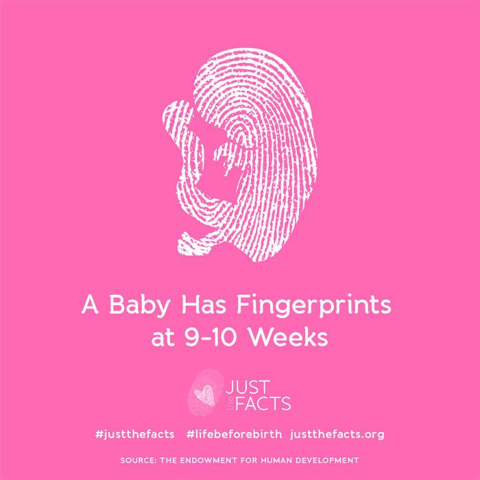 A baby has fingerprints at 9-10 weeks