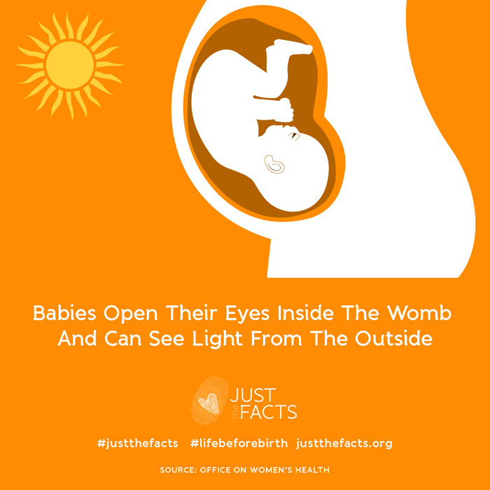 Babies can open their eyes inside the womb